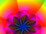 Blumen, Bl�ten