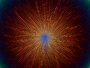 Magie, Mystik, Meditation