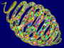 Spiralen (Spirale 1158)