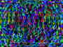 Textildesign, Stoffmuster